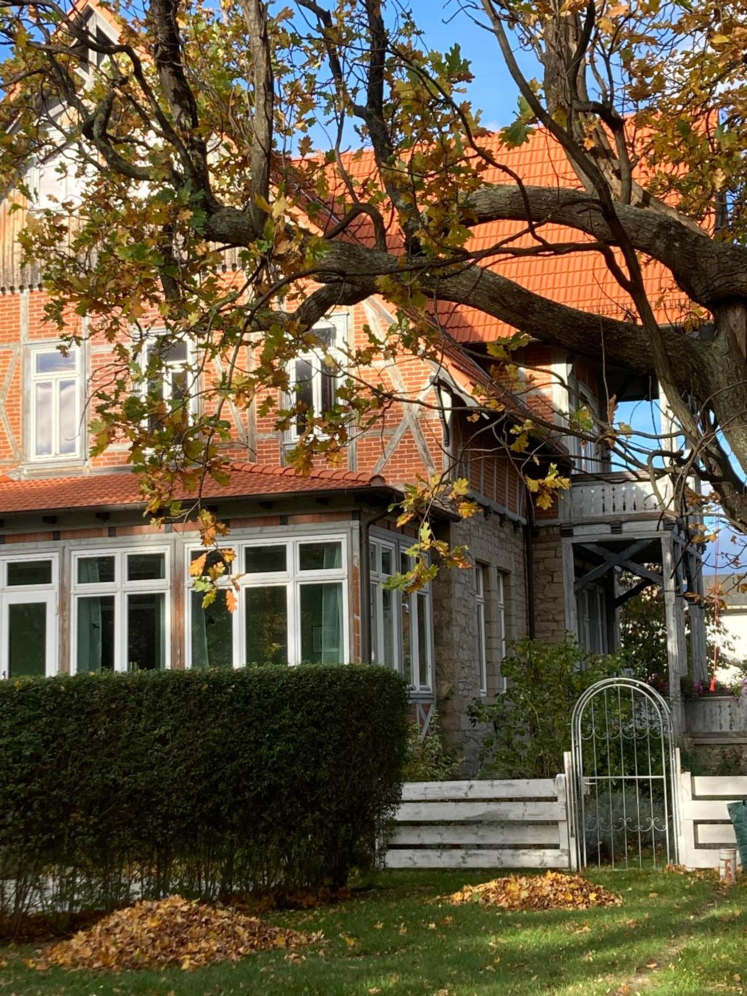 Gaestehaus Musestieg ทาเลอ ภายนอก รูปภาพ