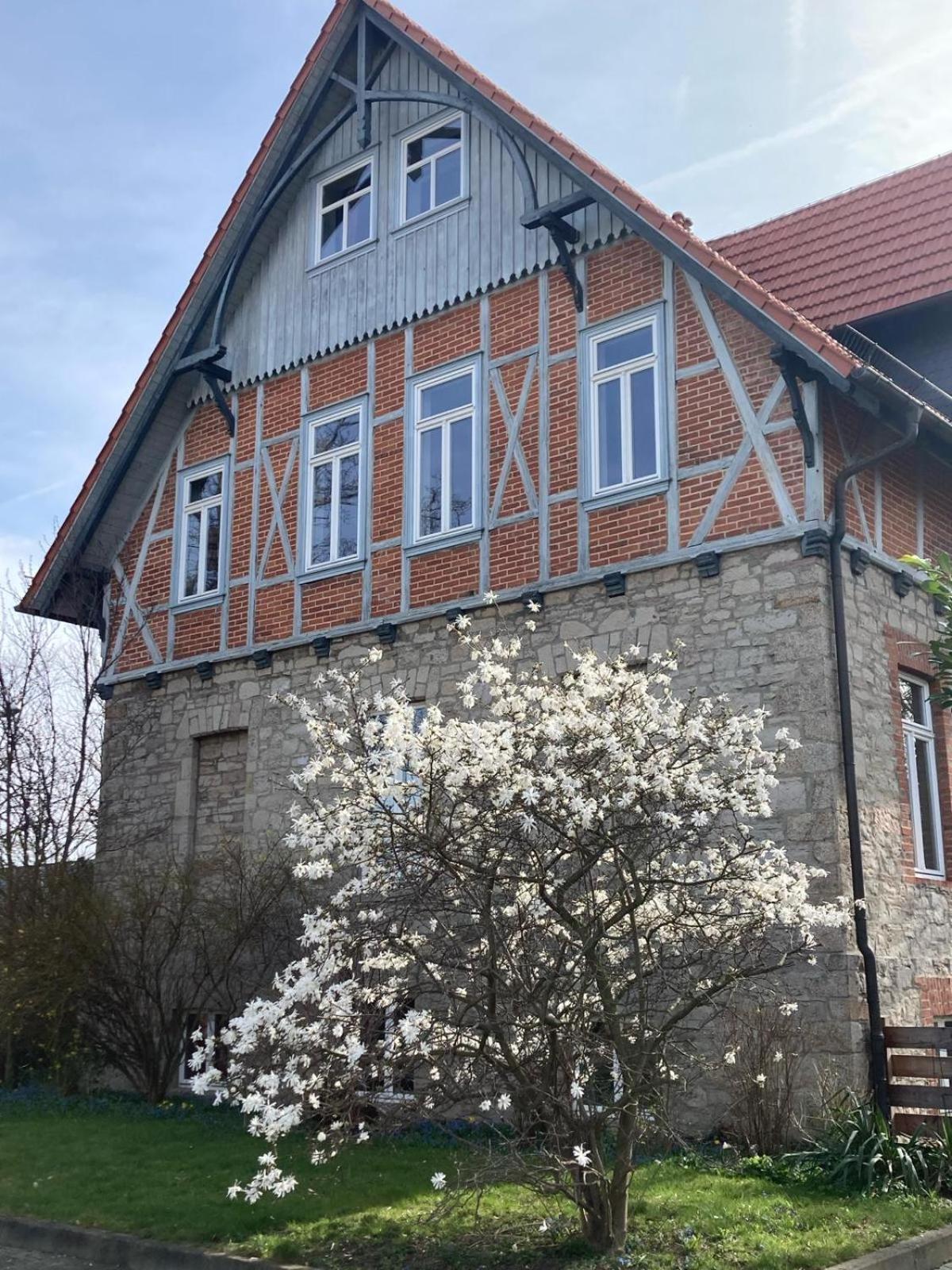 Gaestehaus Musestieg ทาเลอ ภายนอก รูปภาพ